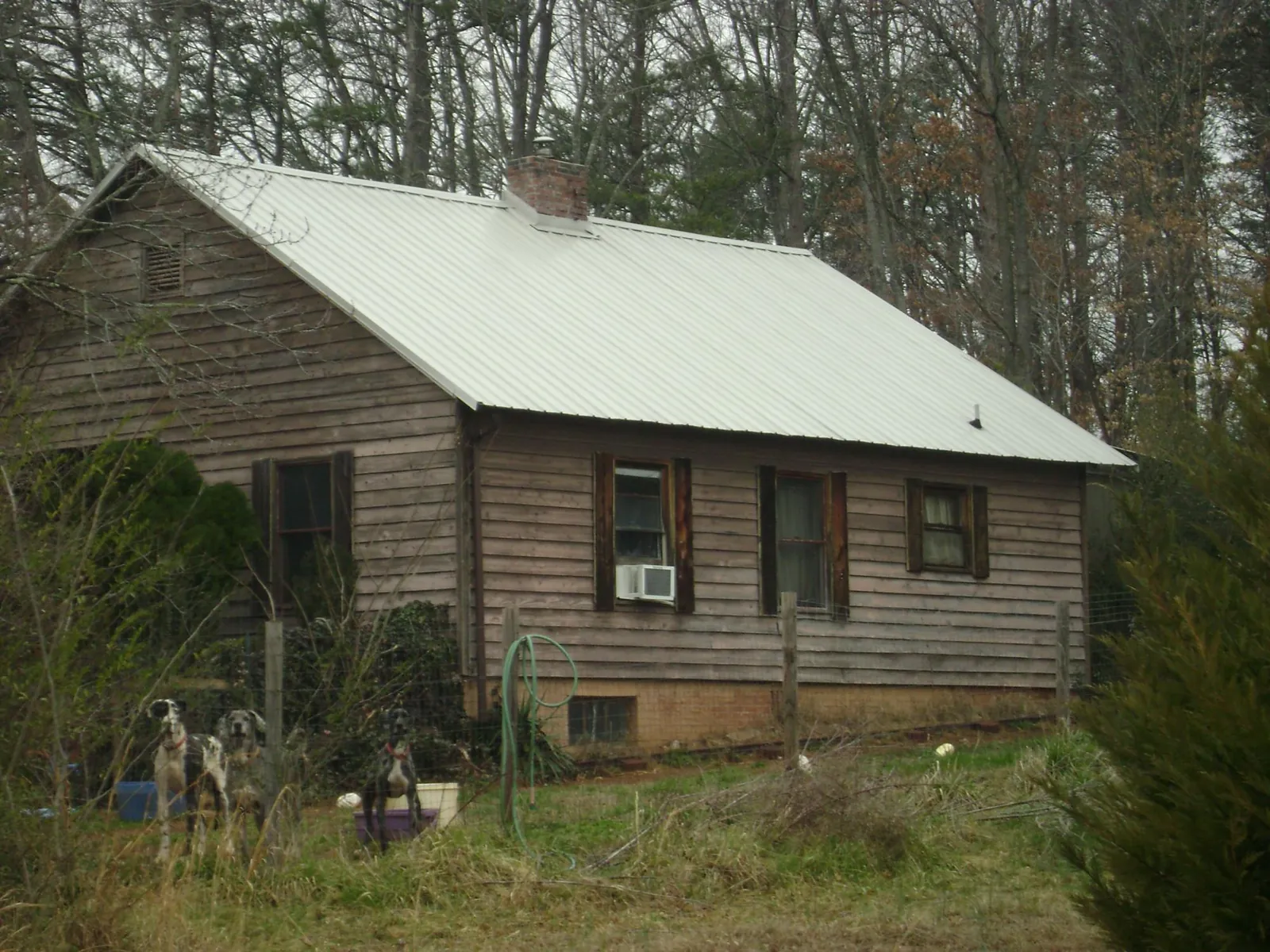 White metal roof on an old wood sided farmhouse, from a Asphalt Shingle Roof Repair job in Osteen